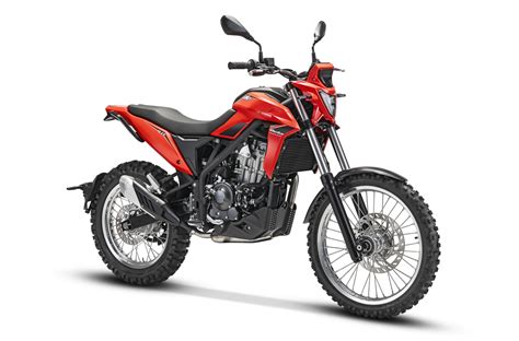 beta dirt bike|2026 Beta Alp 4.0 Review (Updated With Video) .